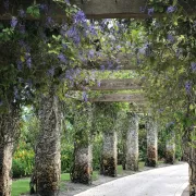Bayshore Drive Community Photo