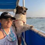 Bark on the Ark Photo
