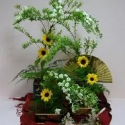 Nelsa image Photo