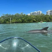Get Up and Go Kayaking Photo