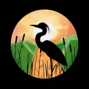 Visit Everglades City Photo