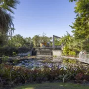 Naples Botanical Garden Photo