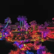 Johnsonville Night Lights in the Garden Photo
