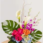 Naples Flowers Photo