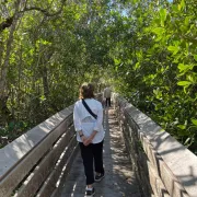 Rookery Bay Reserve offers forest bathing on the 1st Saturday of the month from October through April Photo