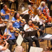 Image of musicians from Pro-Am during a performance Photo