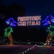 Magic of Lights Photo
