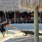 Miccosukee man demonstrating alligator wrestling Photo