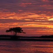 everglades sunset Photo