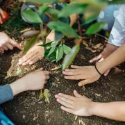 Conservancy Earth Day Photo