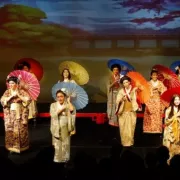 Mikado images Photo
