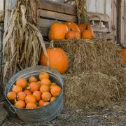 Pumpkins piled on hay in a barn Photo