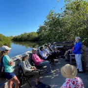 Forest bathing along Henderson Creek at Rookery Bay Environmental Learning Center in Naples Photo