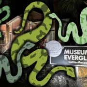 Cartoon snakes drawn over a photo of Museum of the Everglades Photo