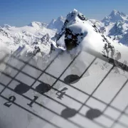 Orchestrating a Balanced Ecosystem Photo