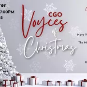 Voyces - Christmas Photo