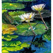 Nature Journaling Invitational at Naples Botanical Garden. Photo credit: Iris Tower, Timeless, 2024 Photo