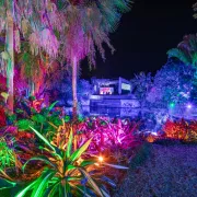 Johnsonville Night Lights in the Garden at Naples Botanical Garden Photo