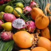 Tasting the Tropics at Naples Botanical Garden Photo