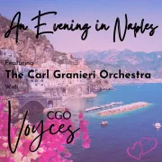 Voyces CGO Photo