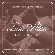 Luis Alas Live in Concert Photo
