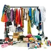 Treasures in the Trunk Photo
