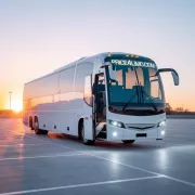 price 4 limo naples Photo