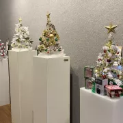 Festival of Trees Photo