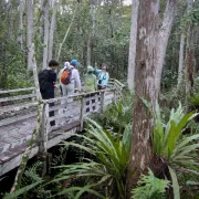David Korte's Guided Walk of Corkscrew Photo