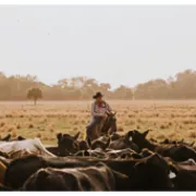 SW FL Ranch Life Photo