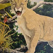 A Painting, a Panther, and a Passion Photo