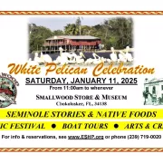 White Pelican Celebration Photo