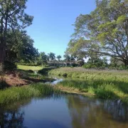 Royal Palm Country Club Photo