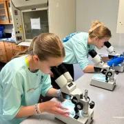 Invertebrate Investigation Photo