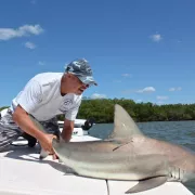 Shark Chaser Charters Photo
