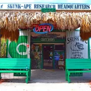 Learn about the legend of the Everglades Skunk Ape at Skunk Ape Headquarters in Ochopee, Florida Photo