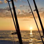 South Bay Marina Photo