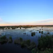 Sunrise at the Marsh Trail Photo
