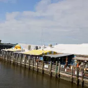 Tin City Photo