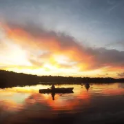 Tour The Glades - Private Wildlife Tours Photo