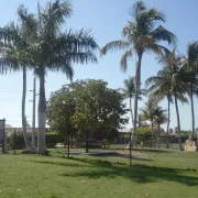 Canine Cove Dog Park Photo
