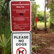 Caracara Prairie Preserve Trail Photo