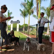 City of Naples Dog Park Photo