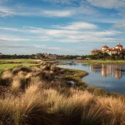 Grant Thornton Invitational at Tiburón Golf Club Photo