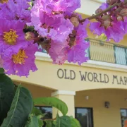 Old World Market Photo