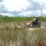 Speedy's Airboat Tours Photo