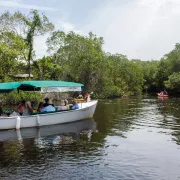 The Conservancy's electric boat tours are a guest favorite! Photo