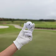 Hammock Bay Photo