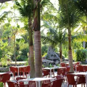 Fogg Cafe Photo