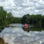 Rookery bay ,Paddleboard and kayak tour Photo